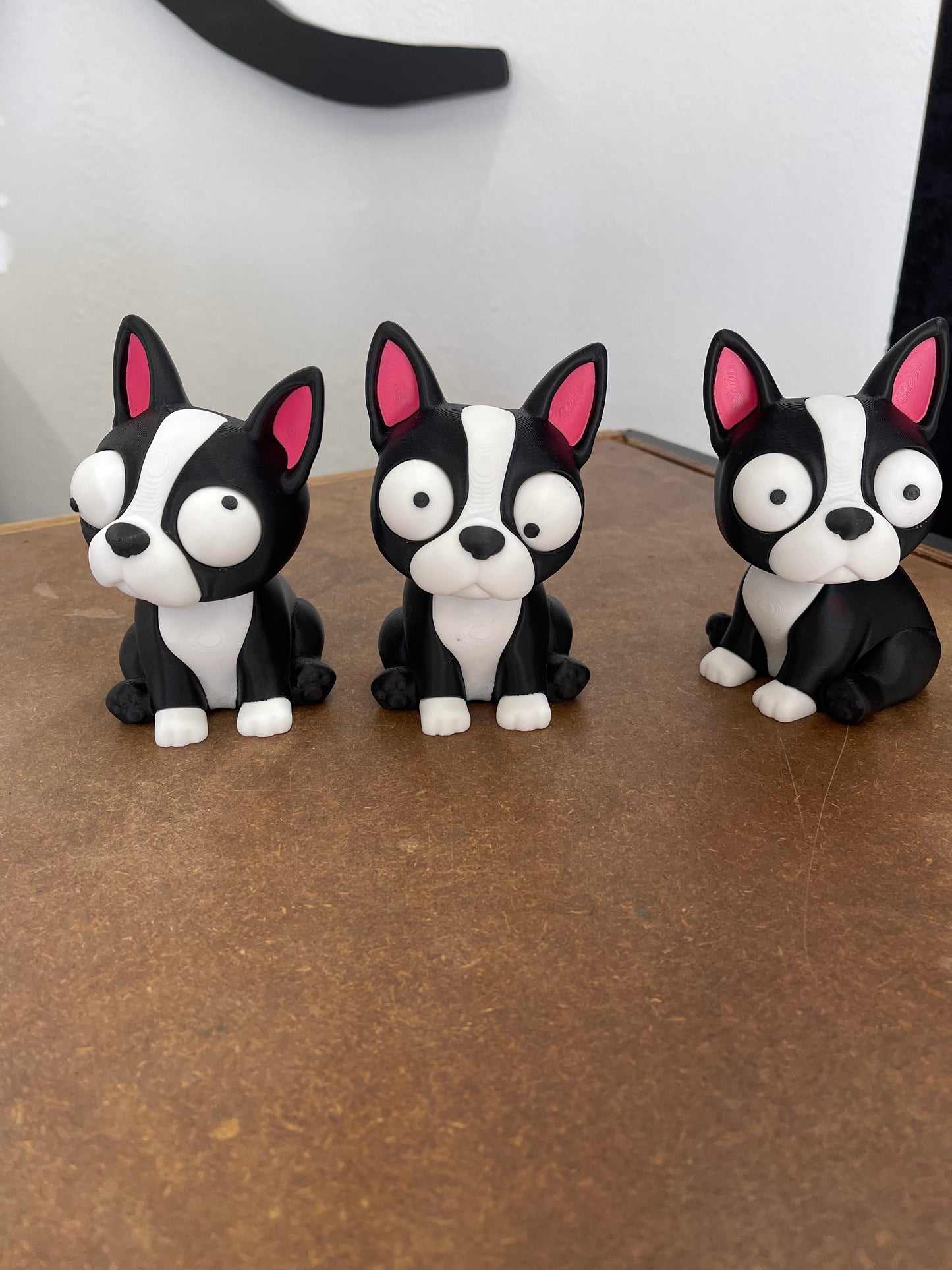 Mini Boston Terrier