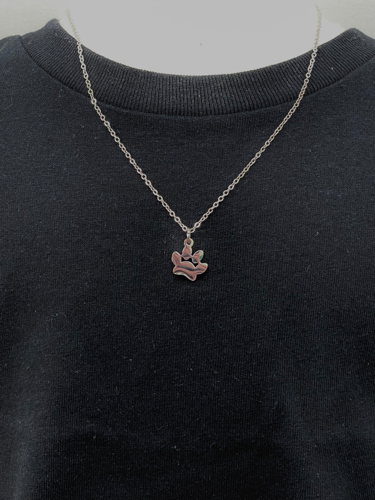Silver Paw Print Necklace