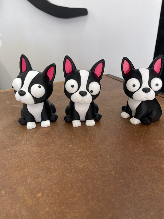 Mini Boston Terrier