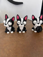 Mini Boston Terrier