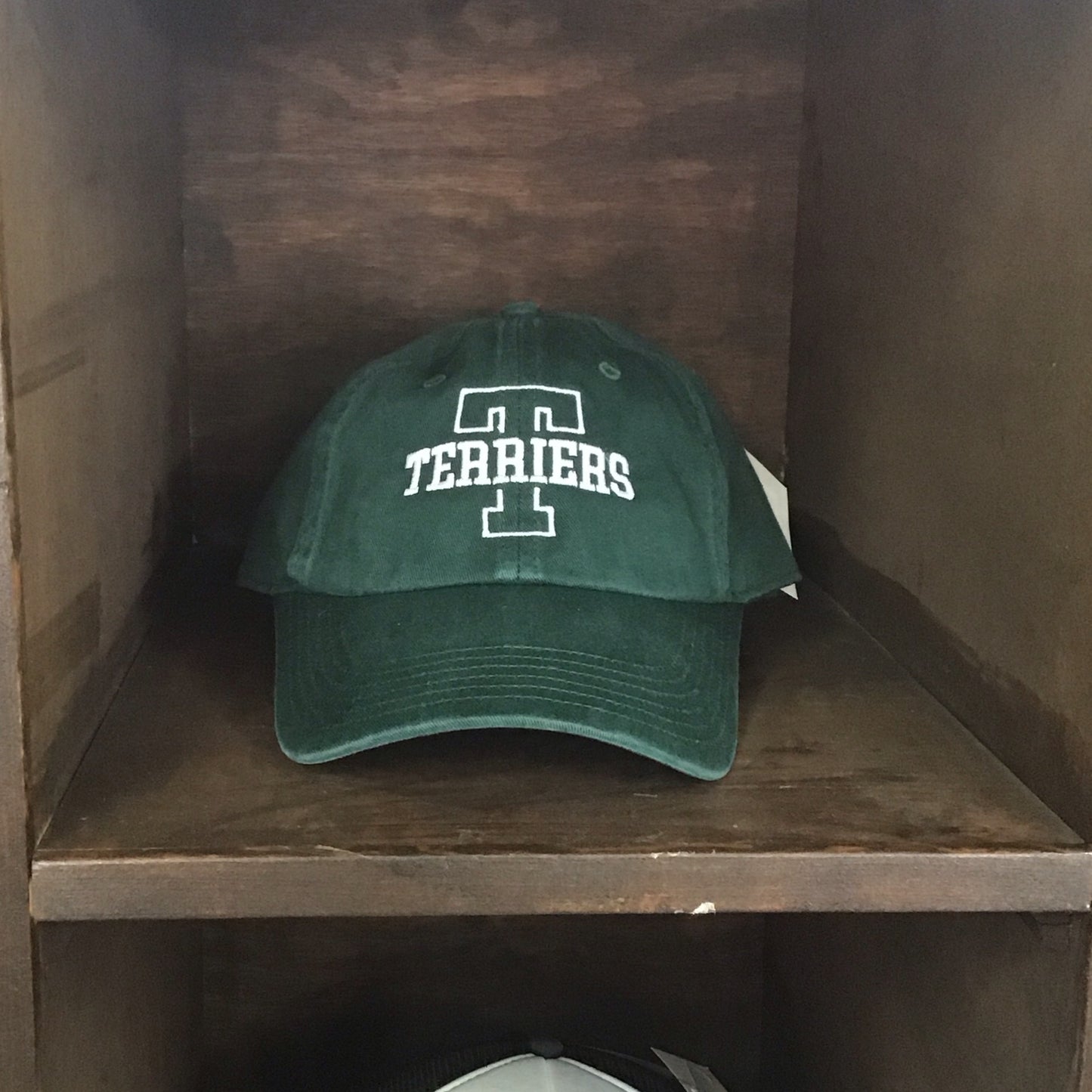 Terrier Green Dad Hat